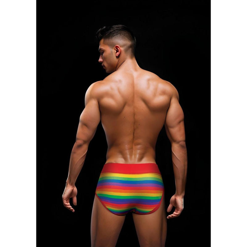 Load image into Gallery viewer, Envy Rainbow Pride Brief Red Rainbow
