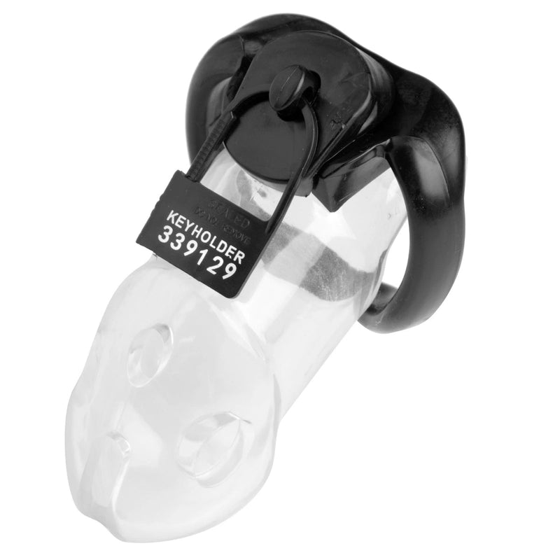 Load image into Gallery viewer, Master Series Keyholder 10 Pack Numbered Plastic Chastity Locks Black
