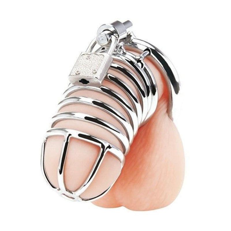 Load image into Gallery viewer, Blue Line Deluxe Chastity Cage Silver - Simply Pleasure
