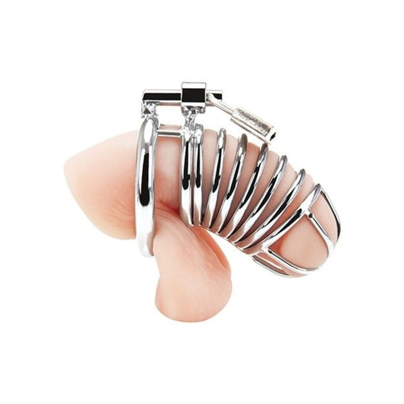 Load image into Gallery viewer, Blue Line Deluxe Chastity Cage Silver - Simply Pleasure
