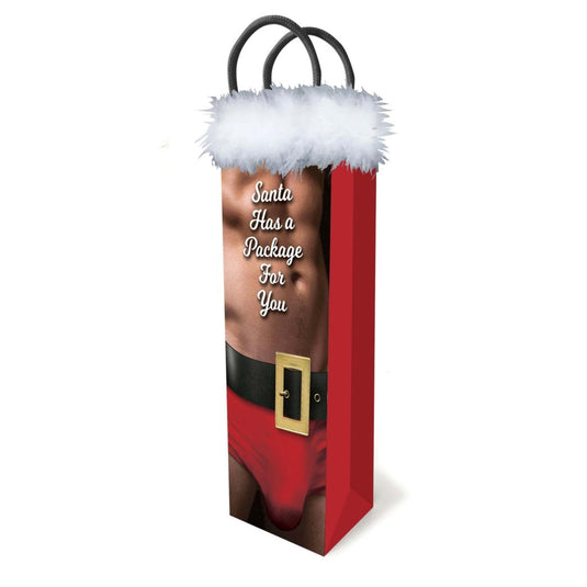 Little Genie Santa Has A Package For You Gift Bag