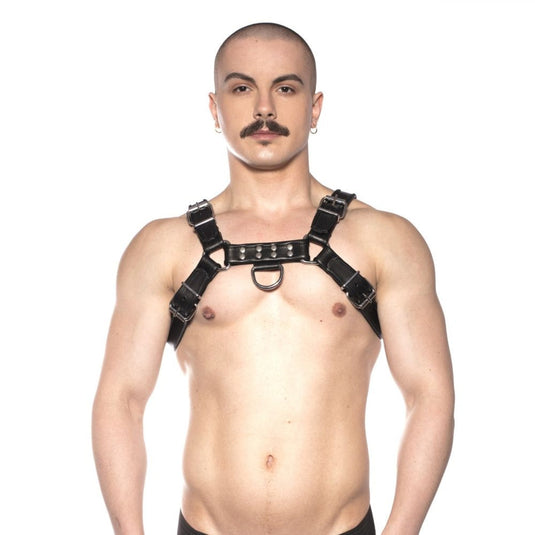 Prowler RED Leather Bull Harness Black