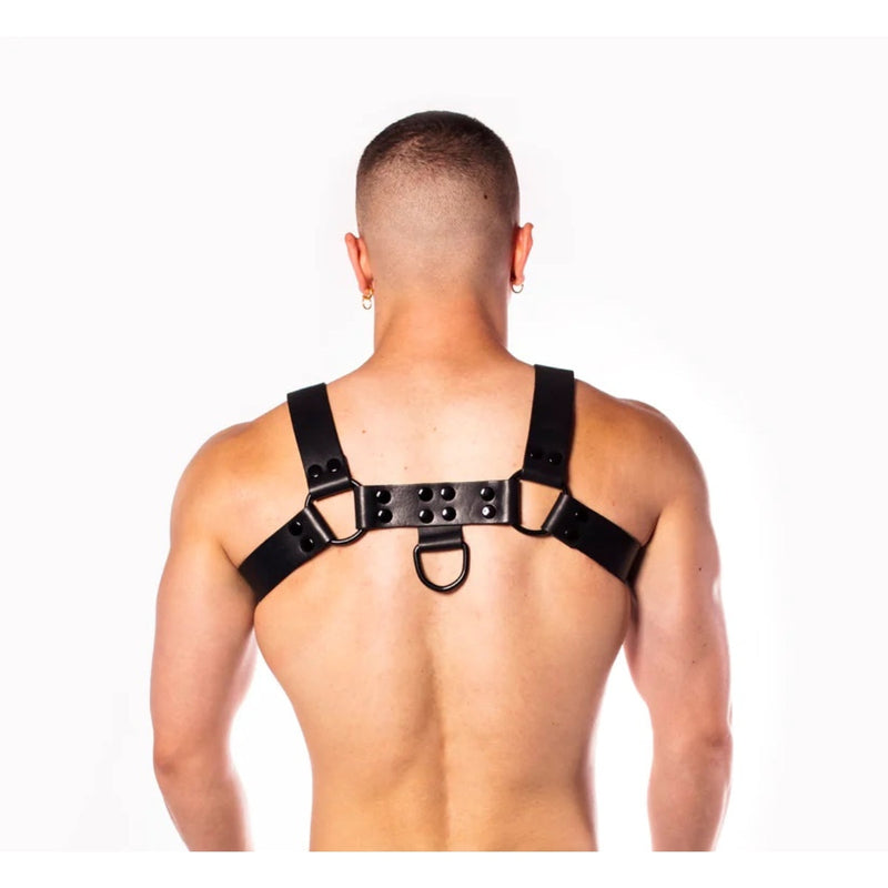 Load image into Gallery viewer, Prowler RED Leather Noir Harness Black
